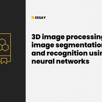 3D image processing image segmentation and recognition using neural networks