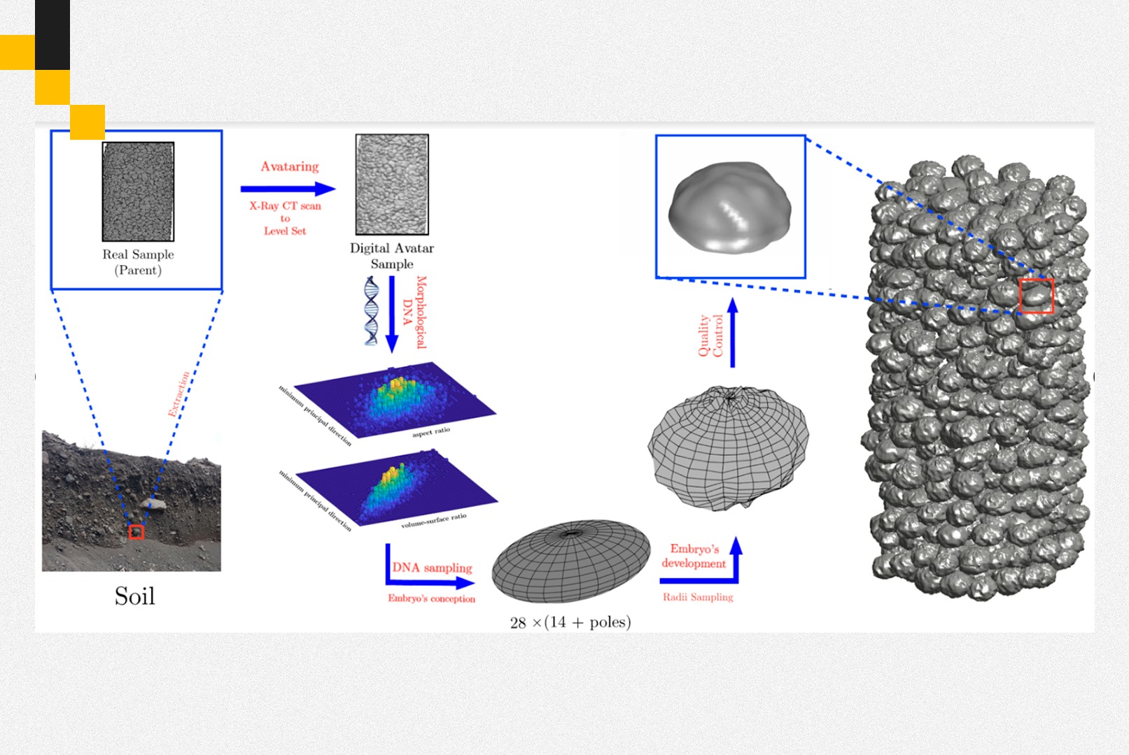 A geometry-based algorithm for cloning real grains 2.0